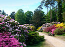 Graal-müritz rhododendronpark1.jpg