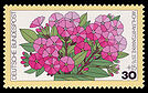 DBP 1976 904 Wohlfahrt Gartenblumen Phlox.jpg