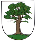 Wappen der Stadt Berga/Elster