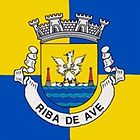 Wappen von Riba de Ave