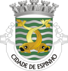 Wappen von Espinho