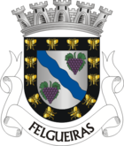 Wappen von Felgueiras