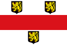 Flag of Bierbeek.svg