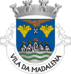 Wappen von Madalena
