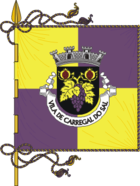 Flagge von Carregal do Sal