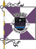 Flagge von Gouveia