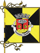 Flagge von Marinha Grande