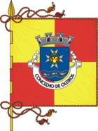Flagge von Oleiros