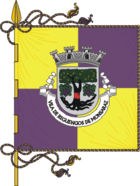 Flagge von Reguengos de Monsaraz
