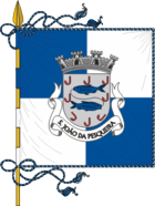 Flagge von São João da Pesqueira