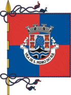 Flagge von São Pedro do Sul