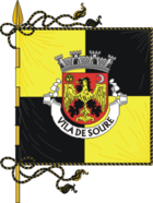 Flagge von Soure (Portugal)