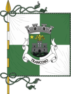 Flagge von Trancoso