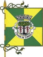 Flagge von Tondela