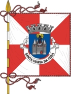 Flagge von Santa Maria da Feira
