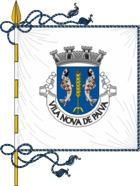 Flagge von Vila Nova de Paiva