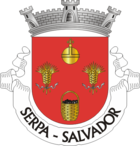 Wappen von Salvador