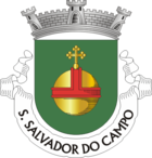 Wappen von São Salvador do Campo