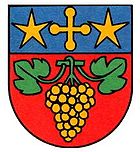 Wappen von Vétroz