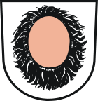 Wappen der Gemeinde Pfaffenhofen