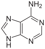 Struktur von Adenin