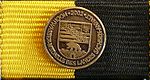 Bandschnalle Hochwasser-Medaille des Landes Sachsen-Anhalt.jpg
