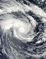 Cyclone Edzani (2010) Peak Intensity.jpg