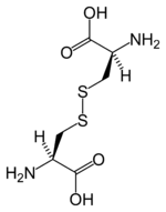 Struktur von Cystin