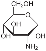 Strukturformel von α-D-Glucosamin (GlcN)