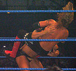 Spinebuster