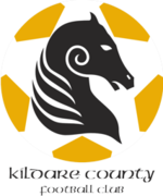 Logo Kildare County.png
