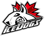 Logo der Mississauga IceDogs
