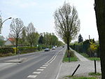 Kiefholzstraße