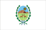 Flagge San Luis'