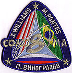 Emblem der Mission Sojus TMA-8