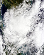 Tropical Depression 2009-11-24.jpg