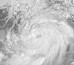 Typhoon York 1999.jpg