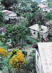 Dorf auf Ovalau