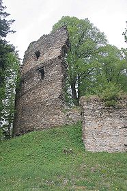 Reste der Burg
