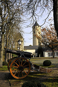 Stromburg mit Kanone im Burggarten ("Lafers Garten")