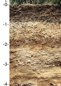 Antigo (soil).jpg