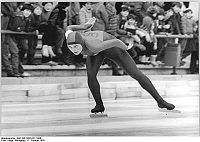 DDR-Eisschnelllaufmeisterschaften der Frauen auf Einzelstrecken 1985