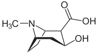 Struktur von Ecgonin