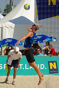 Stefan Uhmann Austrian Masters 2008.jpg