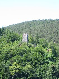 Burgruine Erfenstein von der gegenüberliegenden Talseite aus