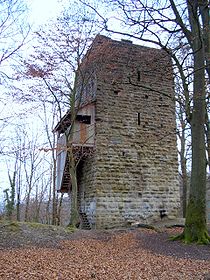 Ruine Alt-Wülflingen