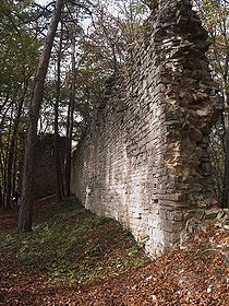 Tudoburg - Mauerreste des Pallas