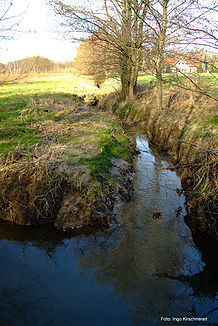 Die Mündung des Lambachs in die Kinsbeke in Herford nahe dem Diebrocker Friedhofs