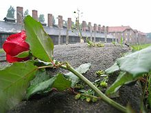 Auschwitz-hope after terror.jpg