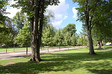 Blick durch den Linnepark Växjö.jpg